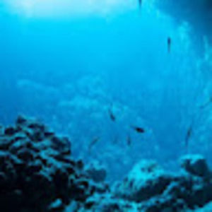 Meet your Posher, Arielle